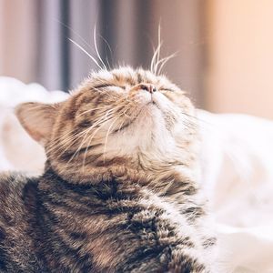 Meet your Posher, Nohemy